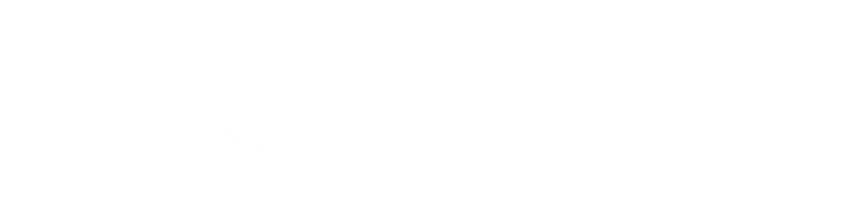 IRI M&Aについて